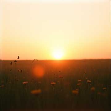 Morning Glow (1)・アコースティック・Acoustic