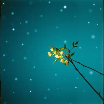 Snowfall Serenade (11) クリスマス Christmas song R&B