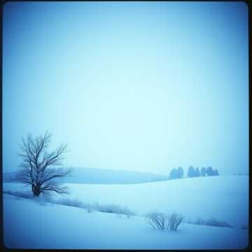 Silent Snowfall Serenade (5) オルゴール music box クリスマス Christmas